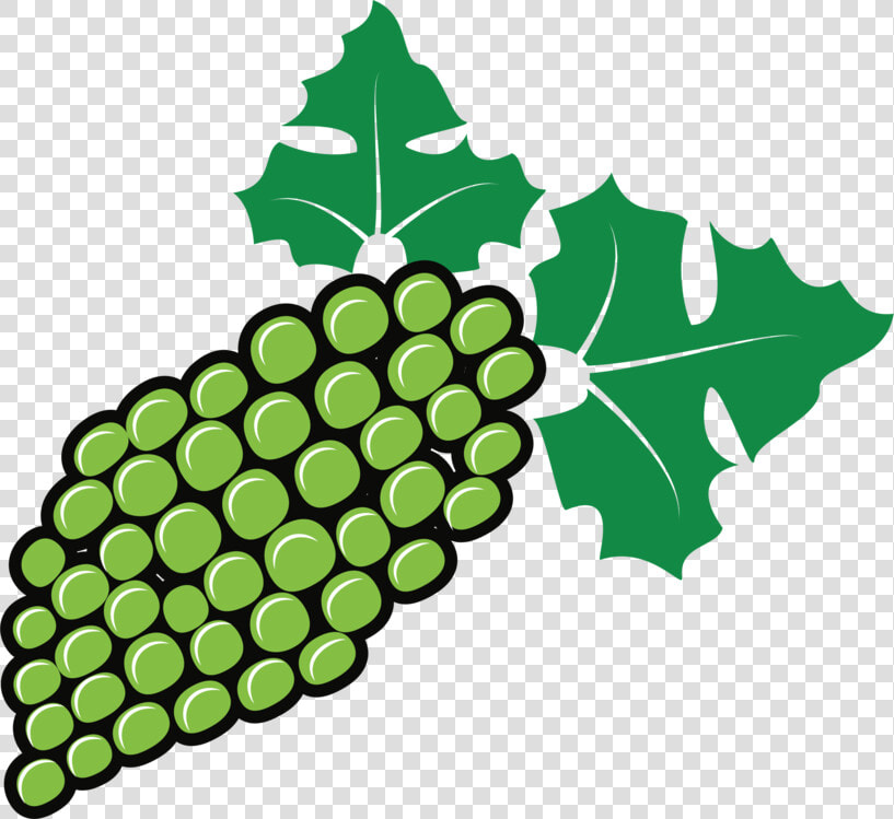 Seedless Fruit plant grape  HD Png DownloadTransparent PNG