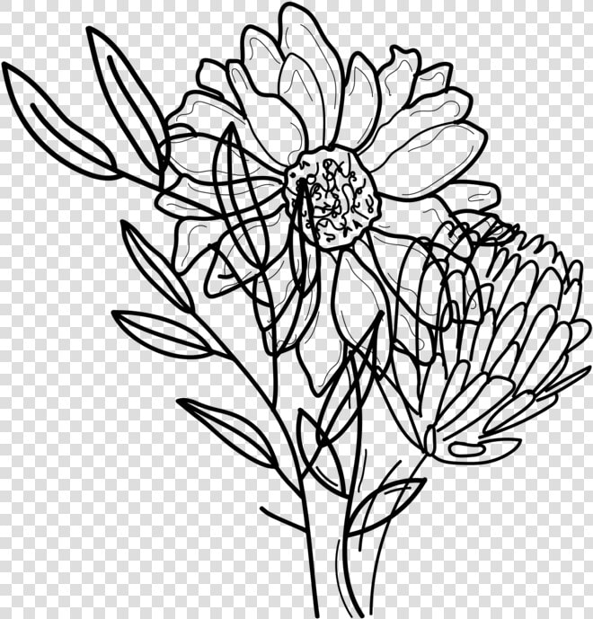 Flowers Black 01   Chrysanths  HD Png DownloadTransparent PNG