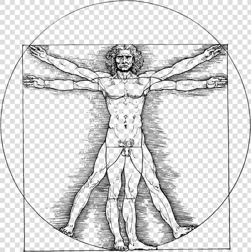 Vitruvian Man Png   Da Vinci Vitruvian Man Png  Transparent PngTransparent PNG