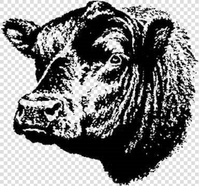 Angus Bull Head Transparent  HD Png DownloadTransparent PNG