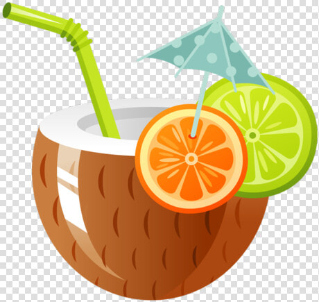 Volunteer Chccs Project Graduation   Coconut Drink Clipart  HD Png DownloadTransparent PNG