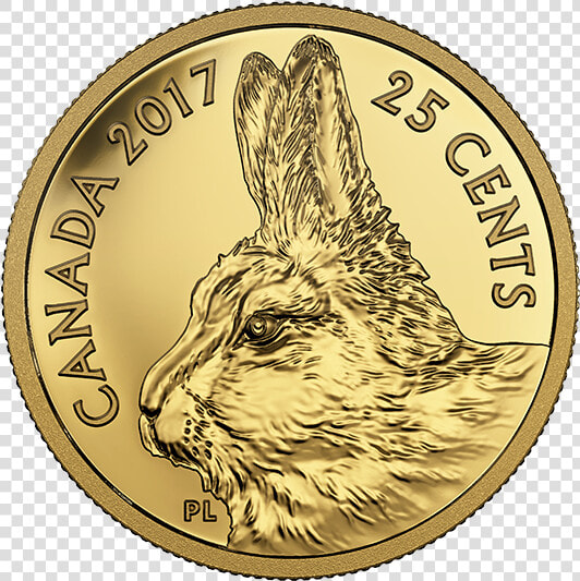 2017 Predator Vs Prey 25 Cent Gold Coin  HD Png DownloadTransparent PNG