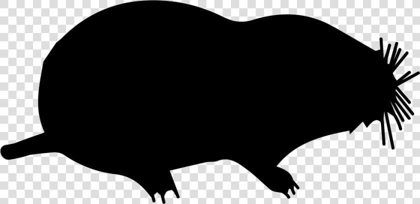 Mole Mammal Animal Shape   Mammal  HD Png DownloadTransparent PNG