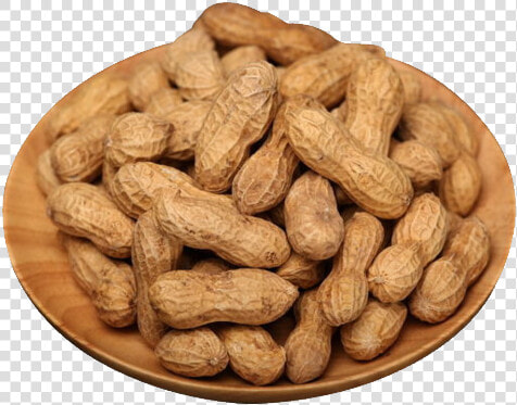 Peanut Png   Mani Png  Transparent PngTransparent PNG