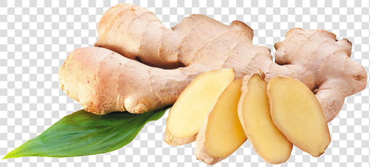 Download Ginger Transparent Png   Ginger Png  Png DownloadTransparent PNG