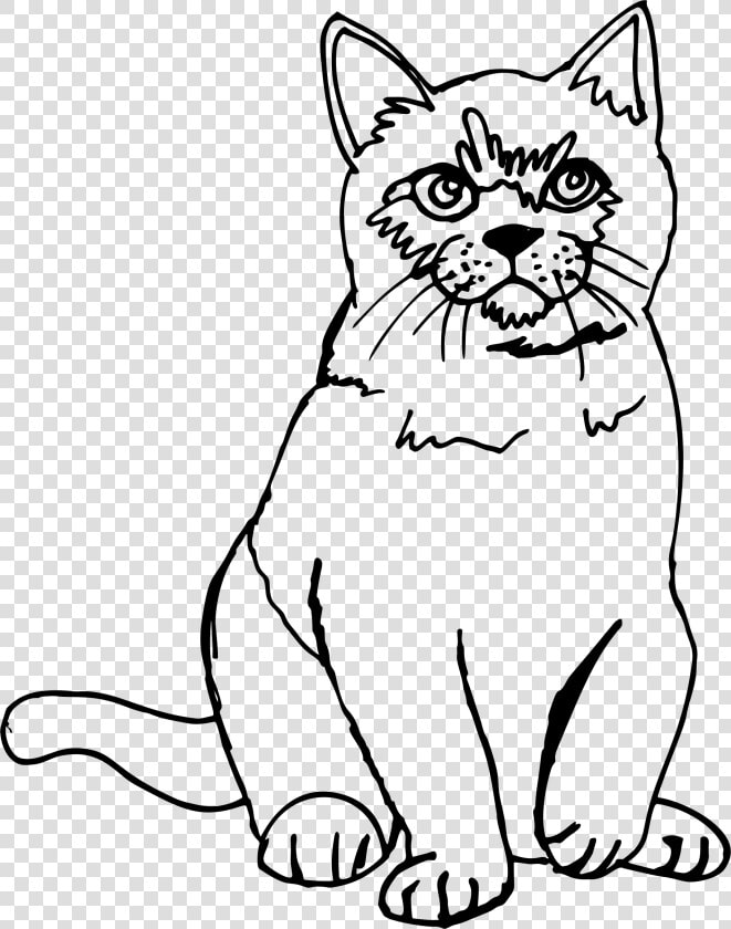 Cat Sketch Line Art Clip Arts   Cat Png Line Drawing  Transparent PngTransparent PNG