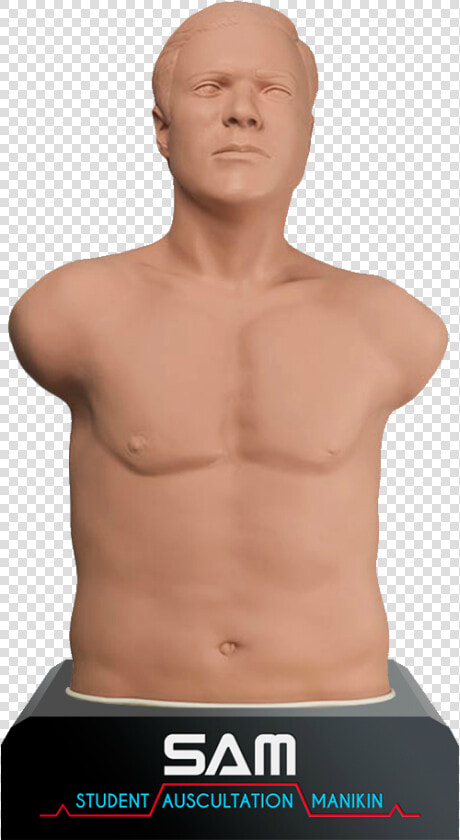 Auscultation   Sam Auscultation Manikin  HD Png DownloadTransparent PNG