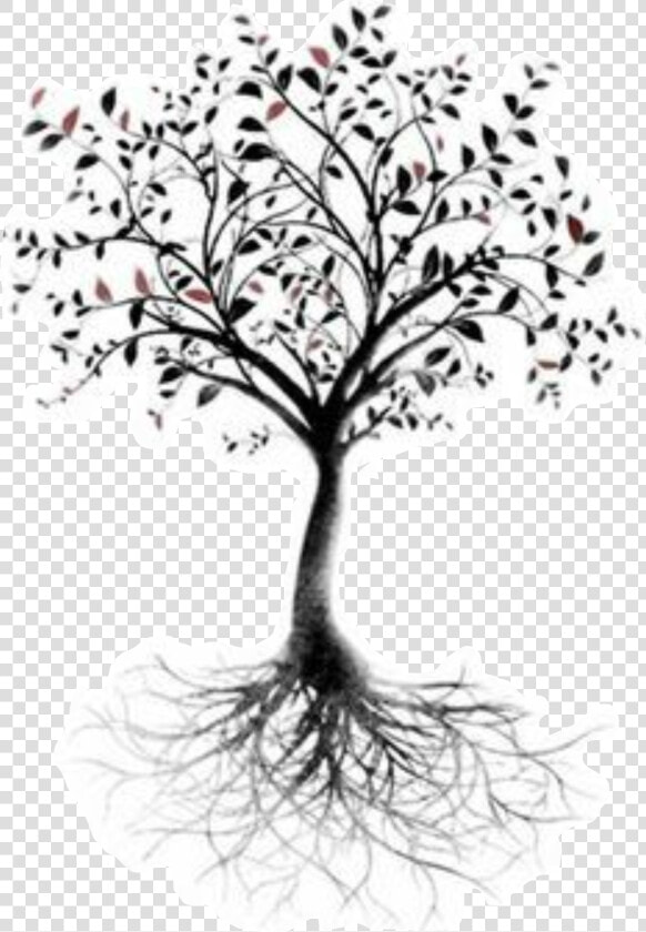 Tree Of Life Root Tattoo Branch   Arbre Noir Et Blanc  HD Png DownloadTransparent PNG