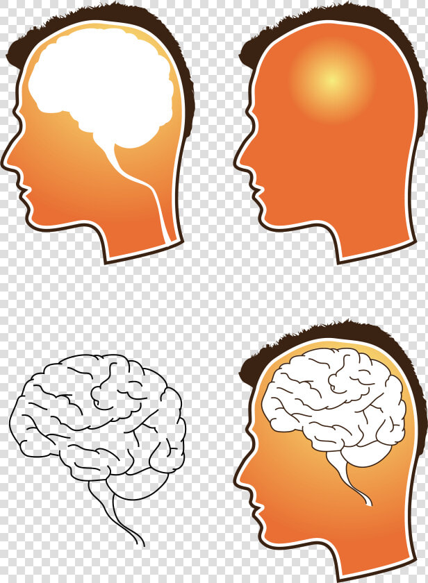 Free Vector Human Brain Vector   Free Vector Brain  HD Png DownloadTransparent PNG