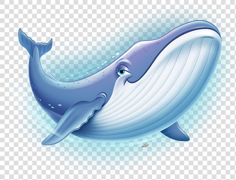 Ocean Commotion   Transparent Background Whale Clipart  HD Png DownloadTransparent PNG