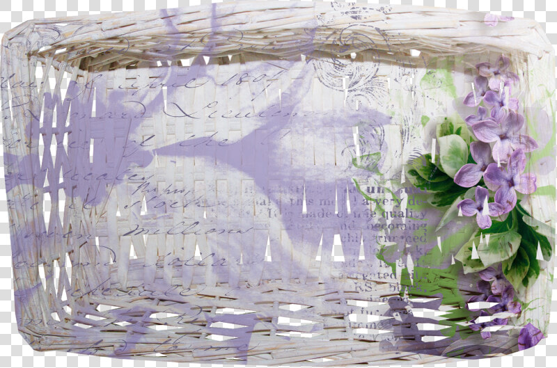 Wisteria  HD Png DownloadTransparent PNG