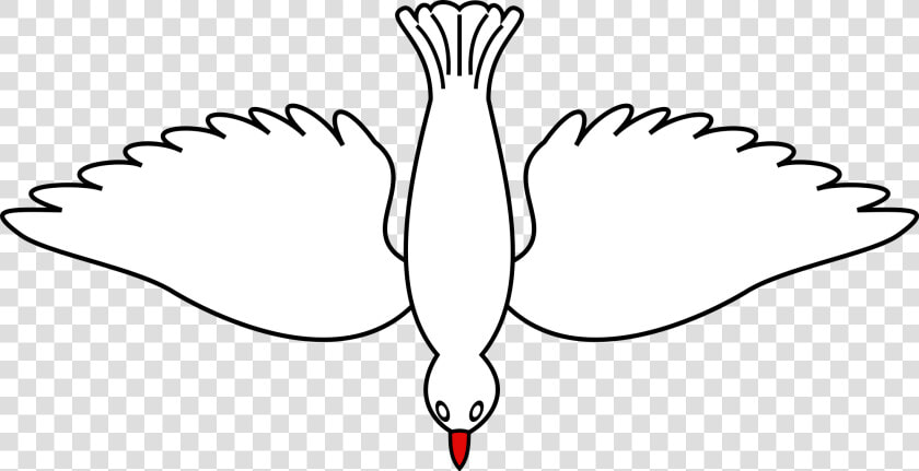 Vector Doves In Flight   Dove Bird Flying Down  HD Png DownloadTransparent PNG