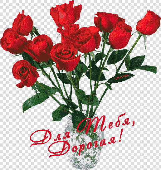 Изображение Для Плейкаста   Aesthetic Transparent Rose Png  Png DownloadTransparent PNG