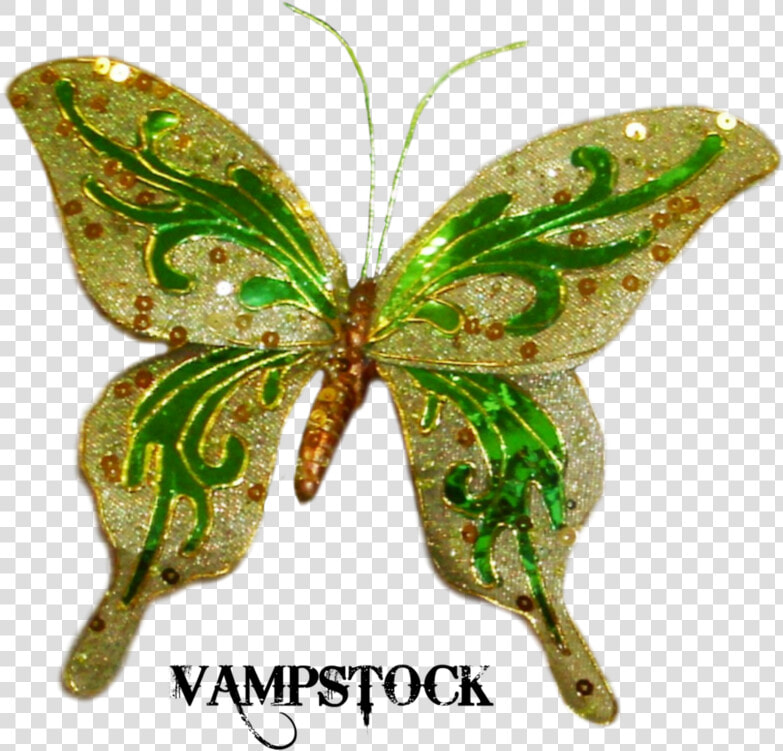 3d Butterfly  Mood Background   Papilio Polyctor  HD Png DownloadTransparent PNG