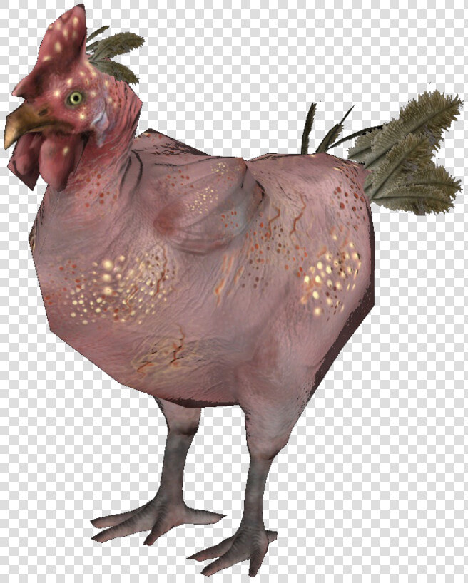 Rad Chicken  HD Png DownloadTransparent PNG