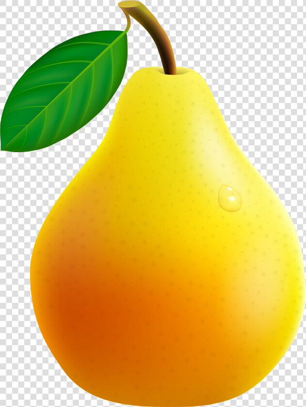 Clip Art Pera Png   Pear Clipart Png  Transparent PngTransparent PNG