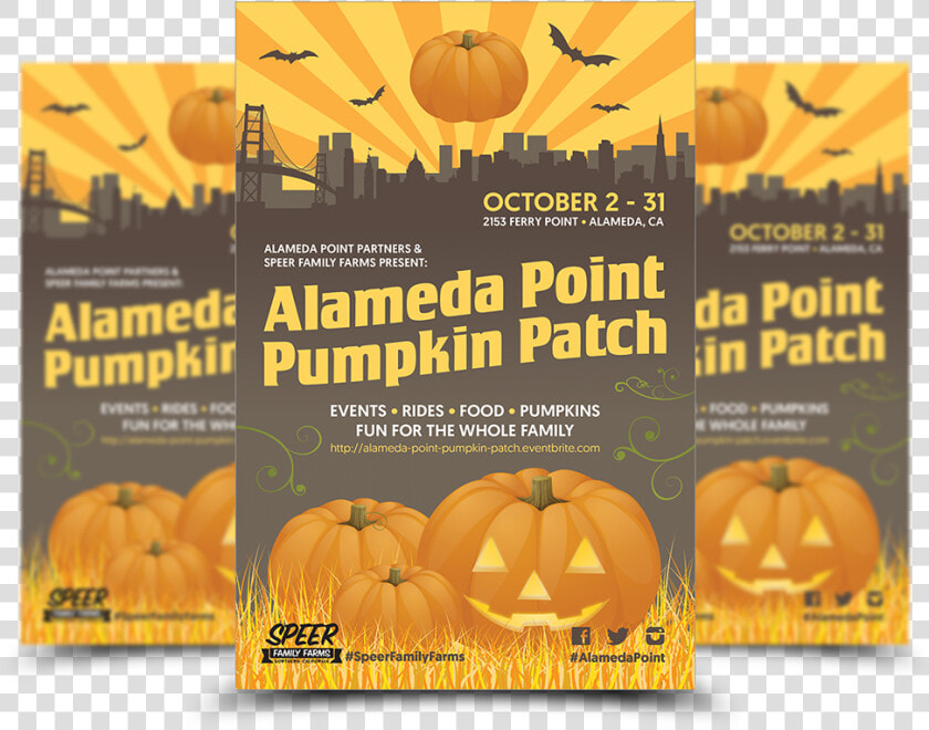 Pumpkin Patch The Client Asked For A Fun And Festive   Jack o  39  lantern  HD Png DownloadTransparent PNG