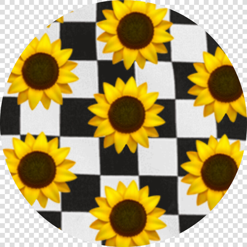 🌻  checkerboard  emoji  sunflowers  background  aesthetic  HD Png DownloadTransparent PNG