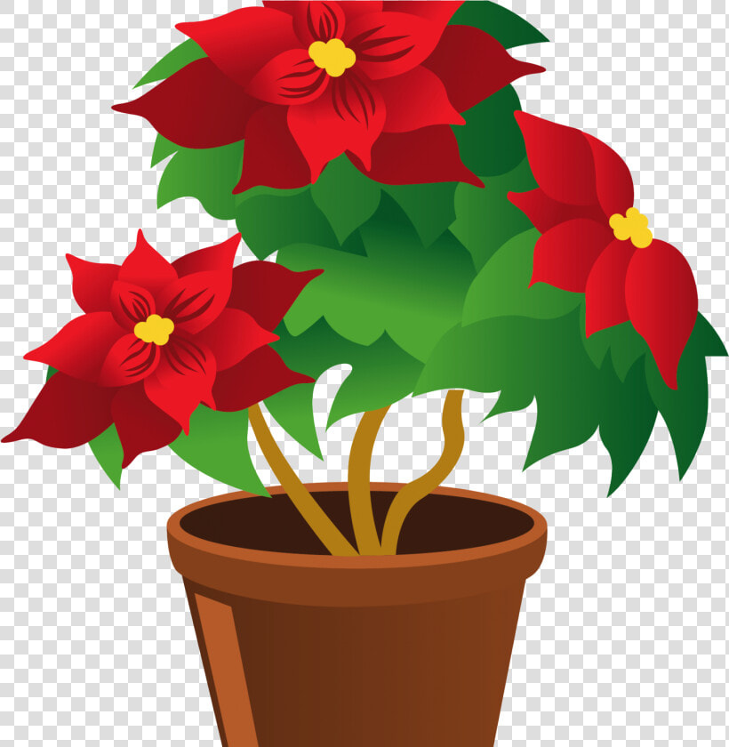 Transparent Poinsetta Png  Png DownloadTransparent PNG