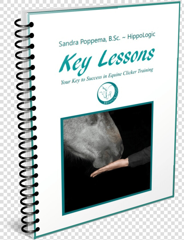 Key Lessons Your Key To Success In Equine Clicker Training  HD Png DownloadTransparent PNG