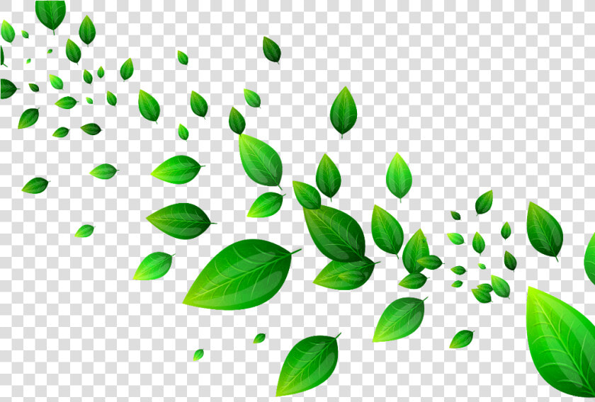  mq  green  leaves  garden  green  falling  border   Falling Leaves Green Clipart  HD Png DownloadTransparent PNG