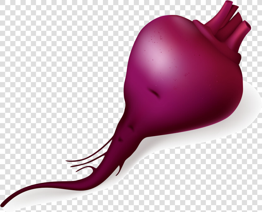 Beetroot Png  Transparent PngTransparent PNG