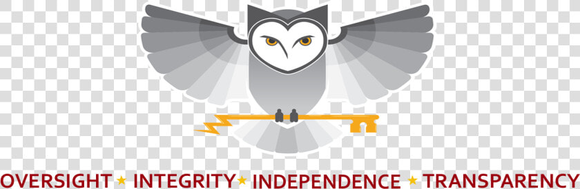 Nsa   Gov   Accessibility   Office Of Inspector General    Diamond  HD Png DownloadTransparent PNG