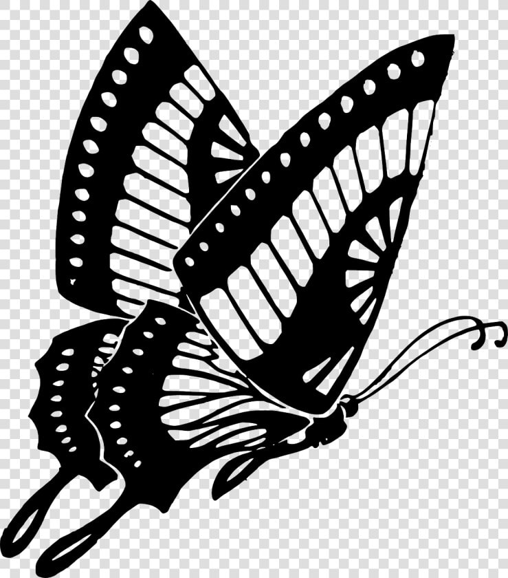 Drawing Spring Purple Butterfly   Butterfly Black And White Png  Transparent PngTransparent PNG