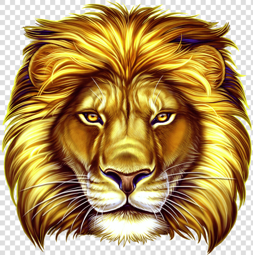 50 Lions Slot Game   Lion Slot Game Png  Transparent PngTransparent PNG