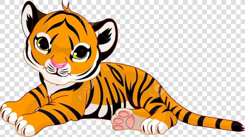 Tiger Clipart Free Best On Transparent Png   Cute Tiger Clipart  Png DownloadTransparent PNG