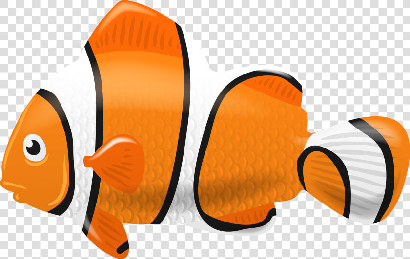 Clownfish Computer Icons Clip Art   Clown Fish Clipart Png  Transparent PngTransparent PNG