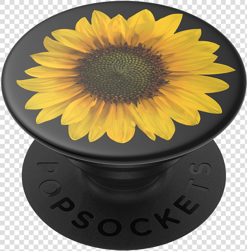 Sunflower Frame Png  seed Money  Popsockets   Popsockets Lightspeed Chrome  Transparent PngTransparent PNG