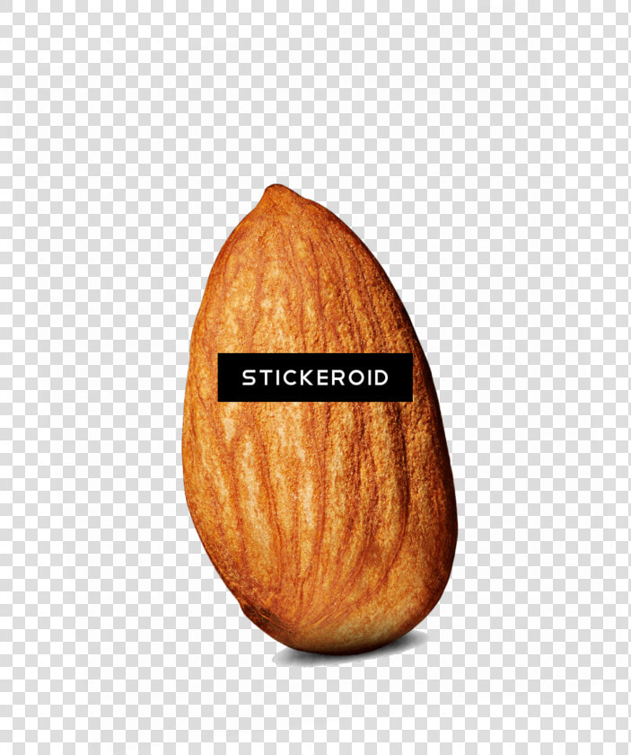 Single Almond Png   Almond  Transparent PngTransparent PNG