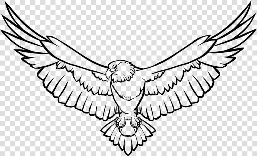 Art monochrome Photography monochrome   Eagle Line Drawing  HD Png DownloadTransparent PNG