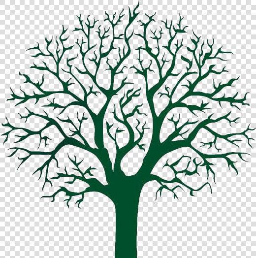 Tree Drawing Png Hd Images  Stickers  Vectors   Fingerprint Sign Tree Template  Transparent PngTransparent PNG