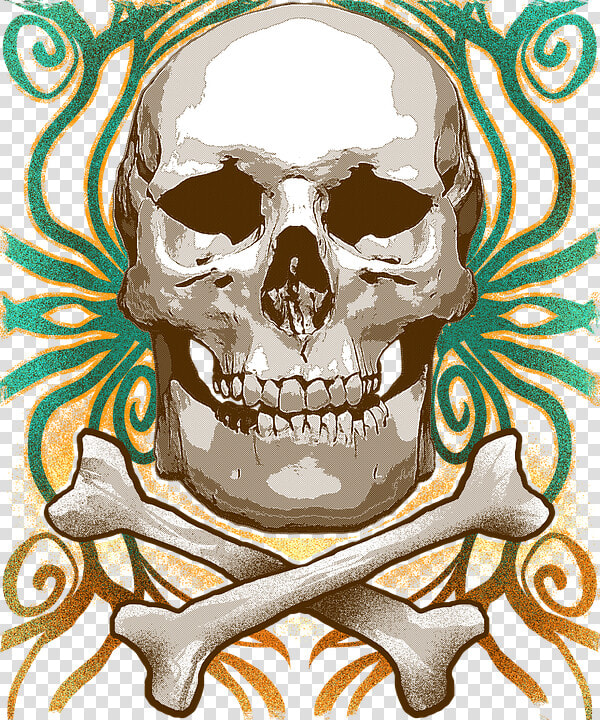 Skull  Halloween  Skeleton  Bones  Pirate  Spooky   Skull  HD Png DownloadTransparent PNG