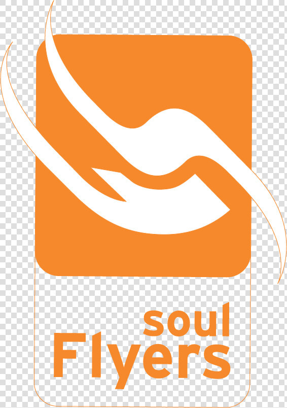 Soul Flyers  HD Png DownloadTransparent PNG