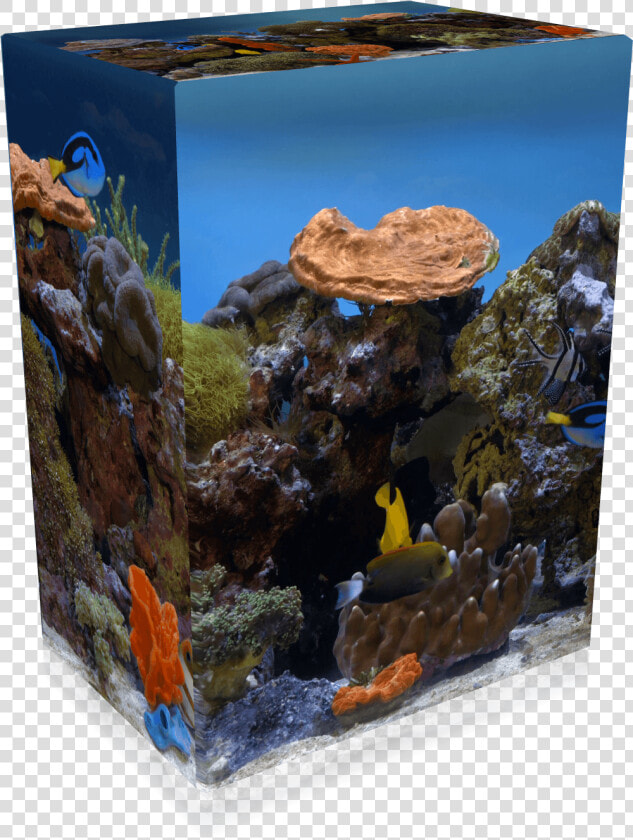 4k Uhd Aquarium Hevc File Collection  HD Png DownloadTransparent PNG