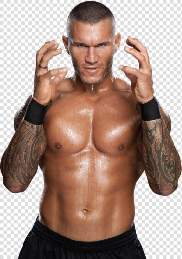 Randy Orton Png By Ambriegnsa   Randy Orton Png  Transparent PngTransparent PNG