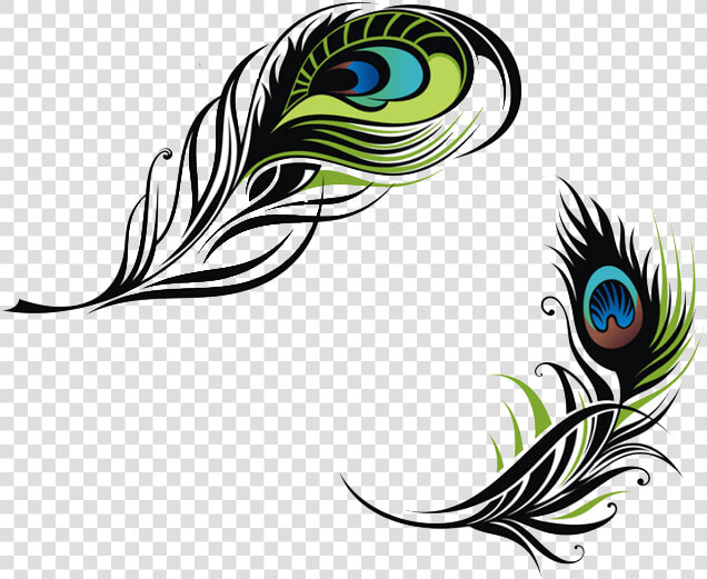 Bird Feather Peafowl Euclidean Vector   Vector Peacock Feather Png  Transparent PngTransparent PNG