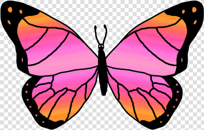 Top 84 Butterfly Clipart   Orange And Pink Butterfly  HD Png DownloadTransparent PNG