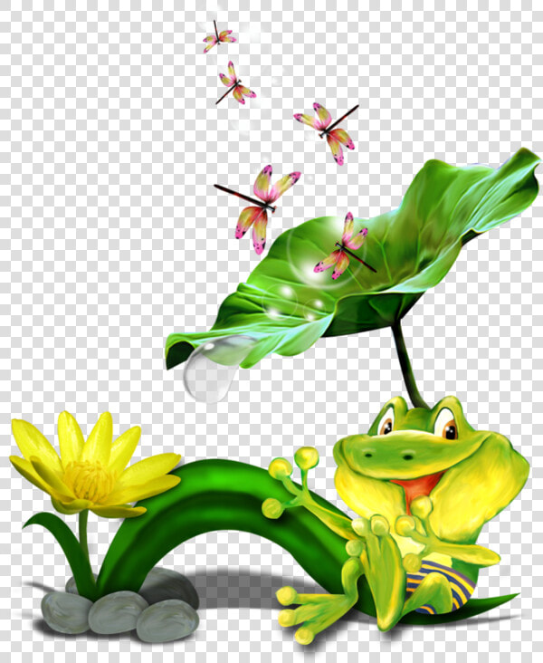 Frog Clipart   Png Download   Bullfrog On A Lily Pad Drawing  Transparent PngTransparent PNG