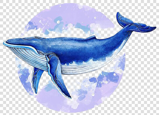 Whale Illust  HD Png DownloadTransparent PNG