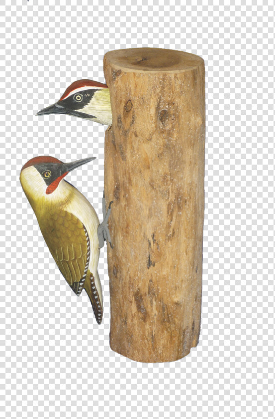 Log In To Your Account   Northern Flicker  HD Png DownloadTransparent PNG