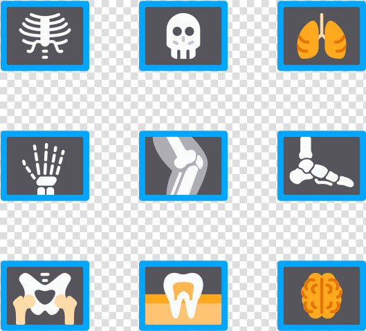 X Ray   Radiology Icons  HD Png DownloadTransparent PNG