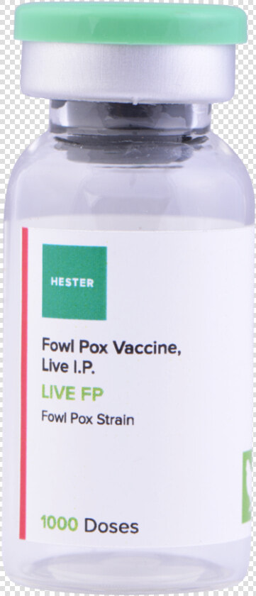 Live Fp 1000   Vaccine Bottle Png Transparent  Png DownloadTransparent PNG