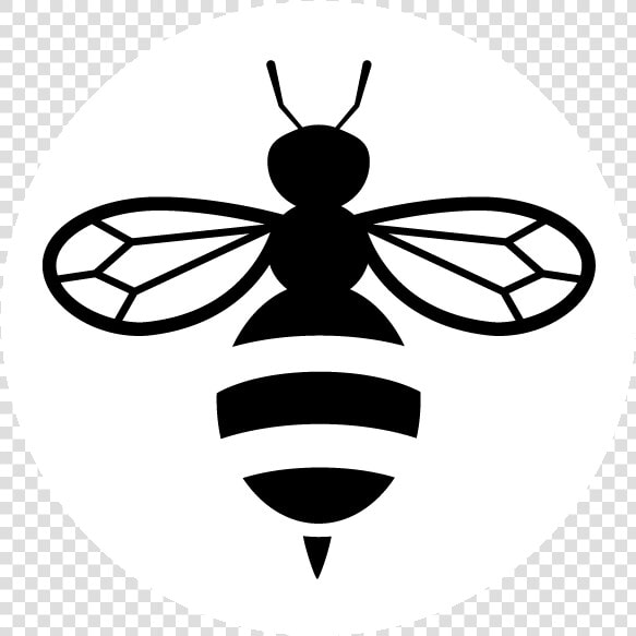 Botanica   Honey Bee Icon Png  Transparent PngTransparent PNG