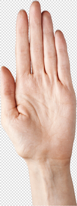 5 Finger Png   Hand With Fingers Together  Transparent PngTransparent PNG