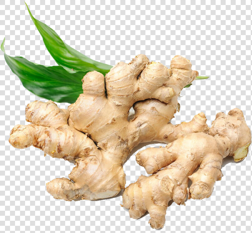 Ginger Png Background Image   Ginger  Transparent PngTransparent PNG