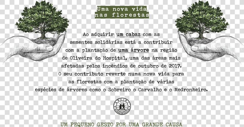 100 Days Blank Sketchbook   Texto A Vida Da Floresta  HD Png DownloadTransparent PNG